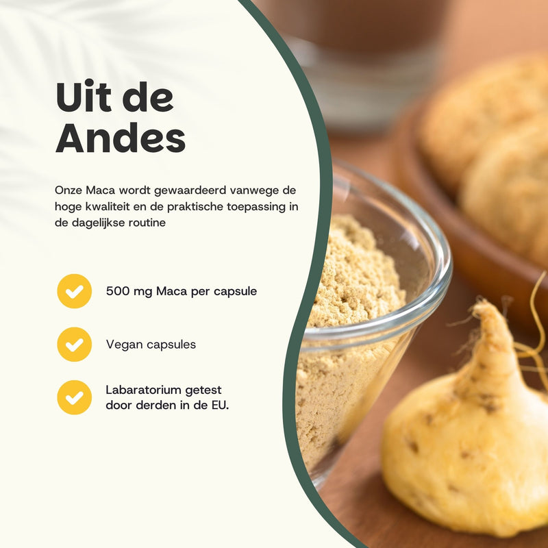 Maca capsules goyu supplement superfood