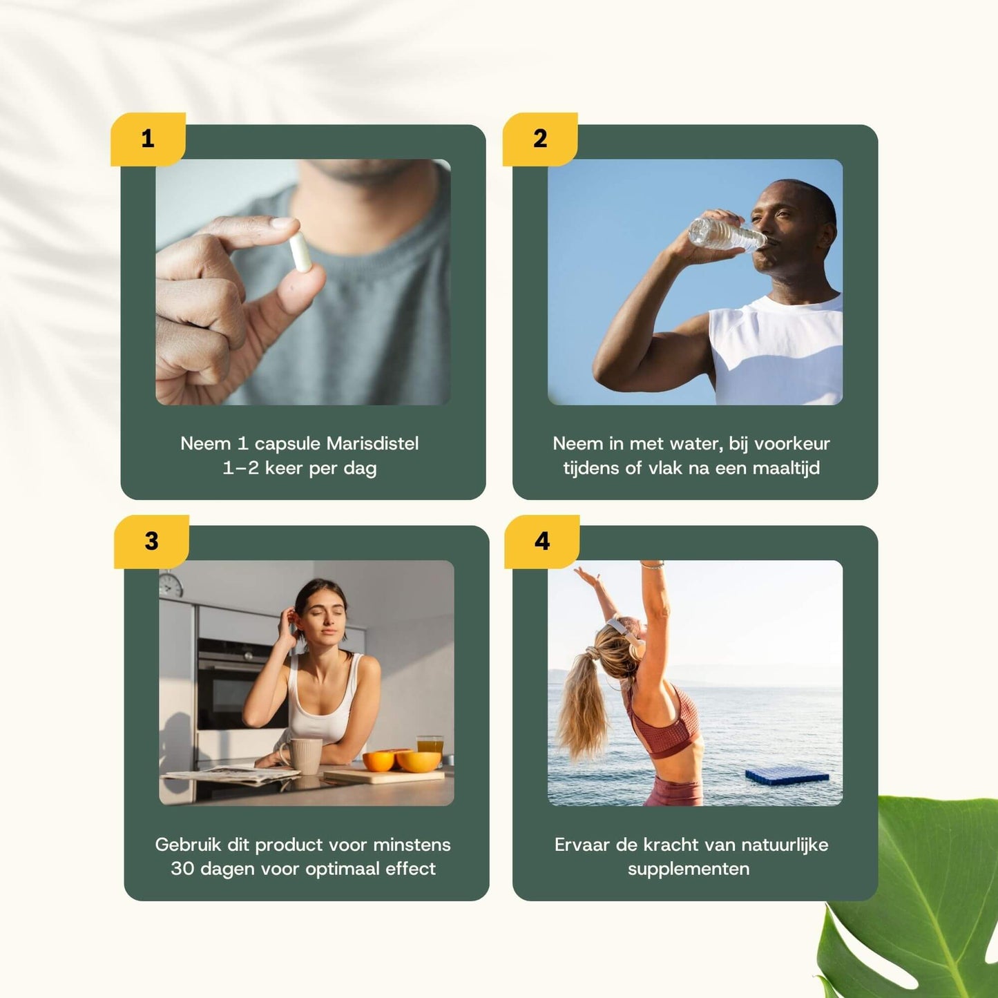 Mariadistel extract capsules goyu supplement superfood