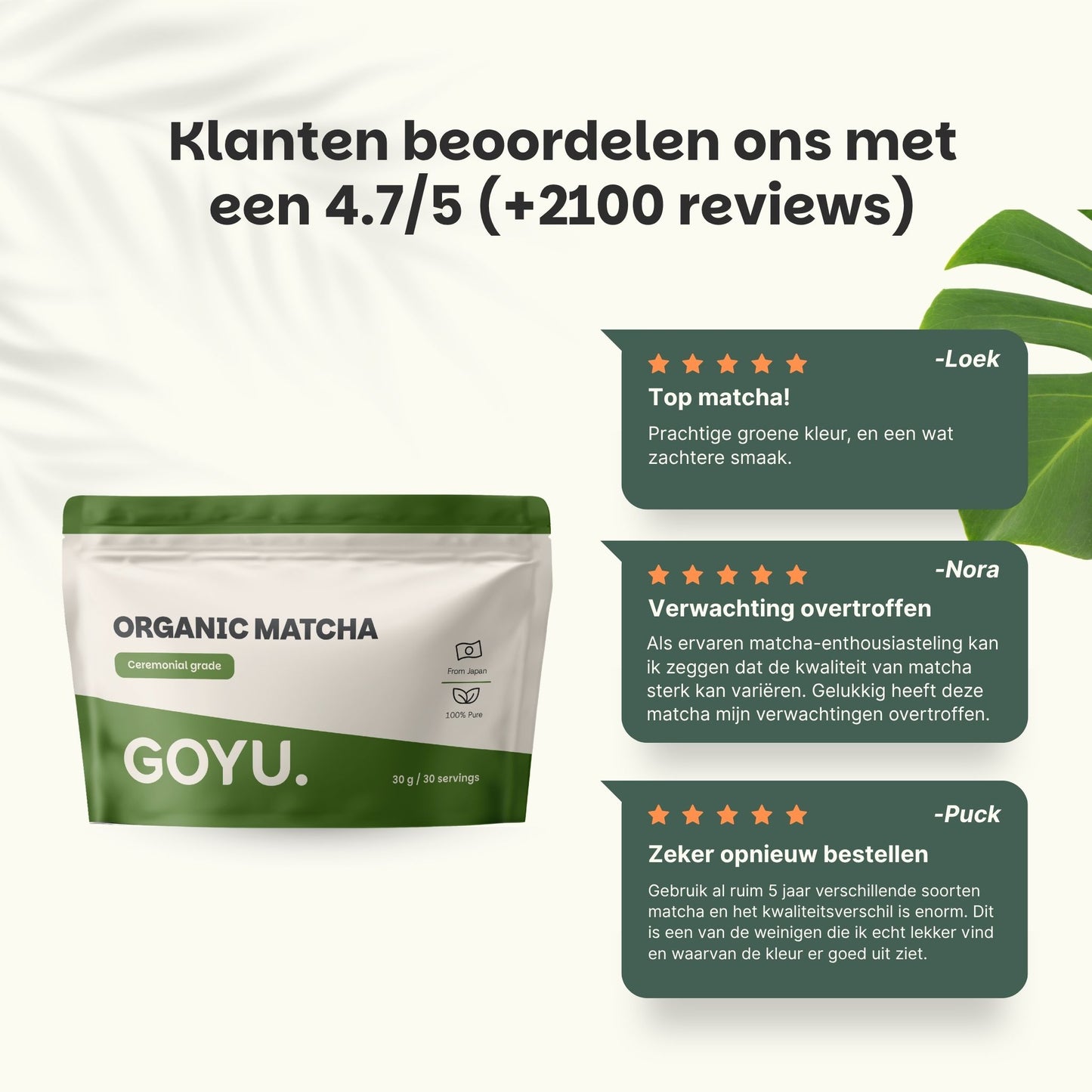 Matcha Pulver Zeremonialqualität