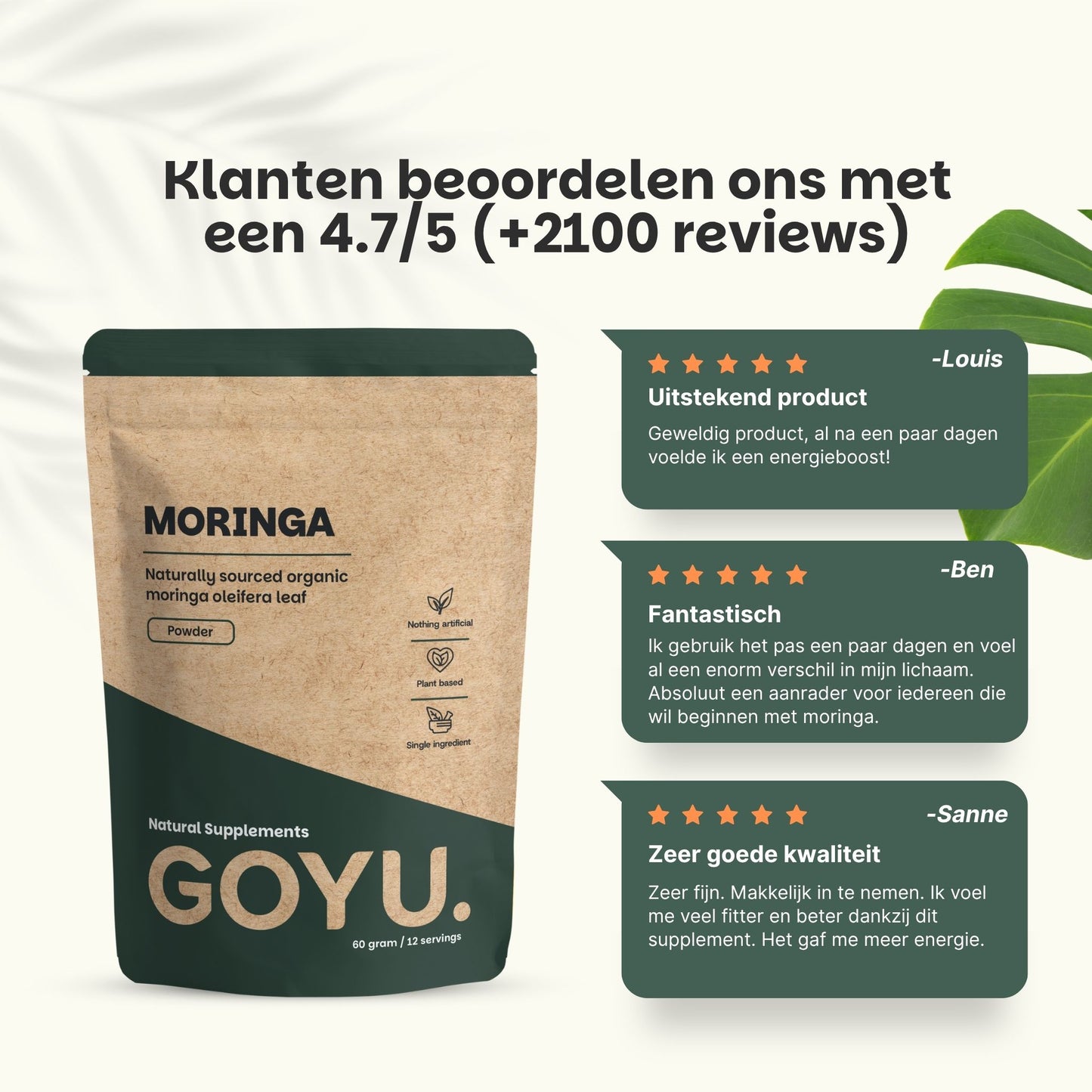 Biologisch Moringa poeder goyu supplement superfood