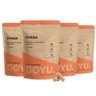 Chaga Capsules 500 mg Biologisch