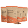 Cordyceps Pulver Bio