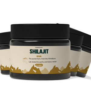 Shilajit Resin