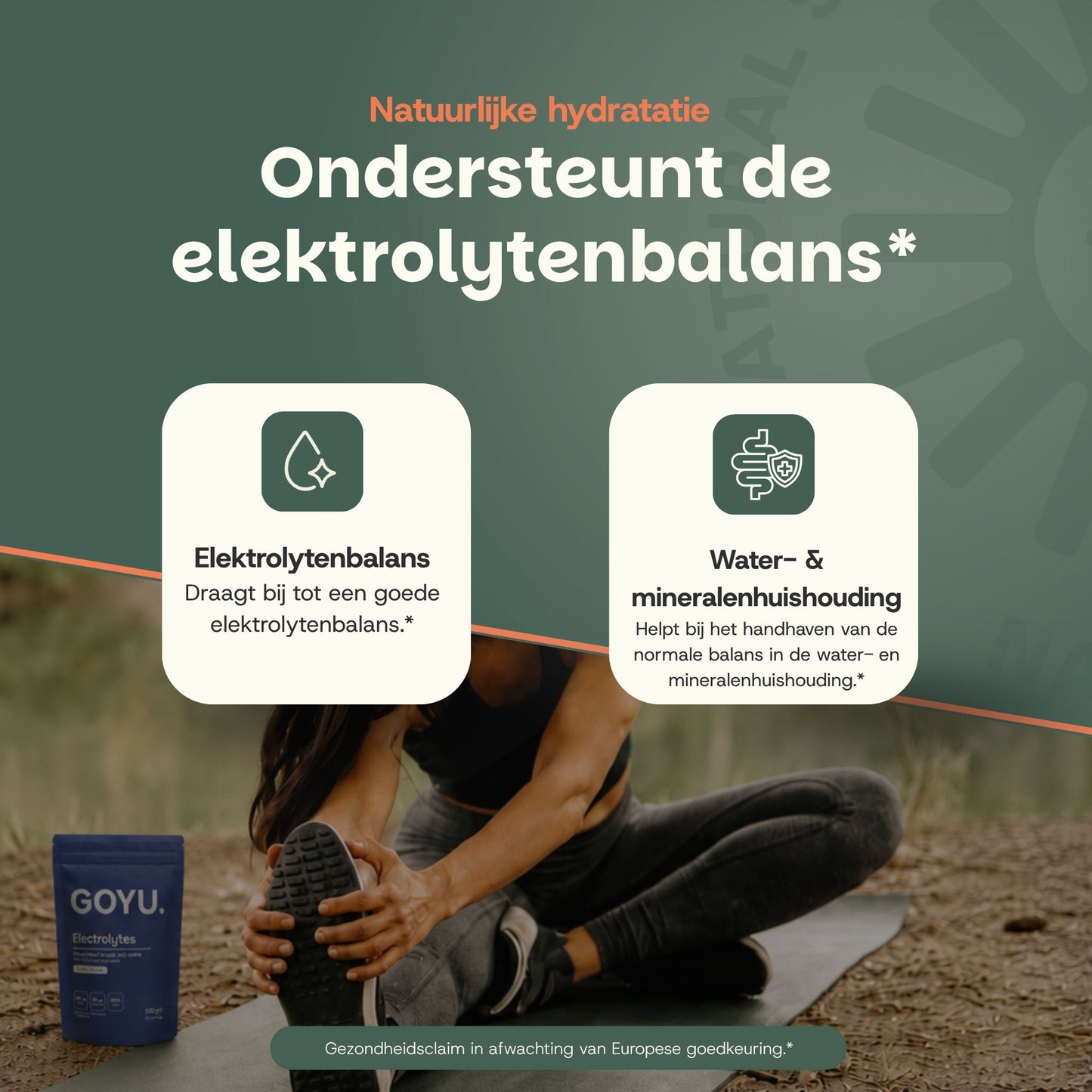 Elektrolyten poeder lime goyu superfood supplement