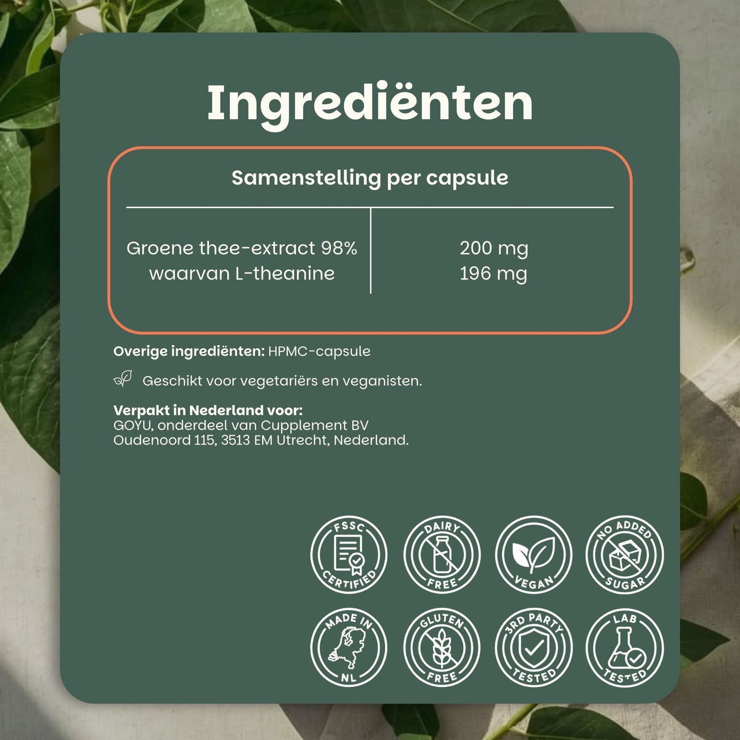 Green tea extract L-theanine capsules goyu supplement superfood