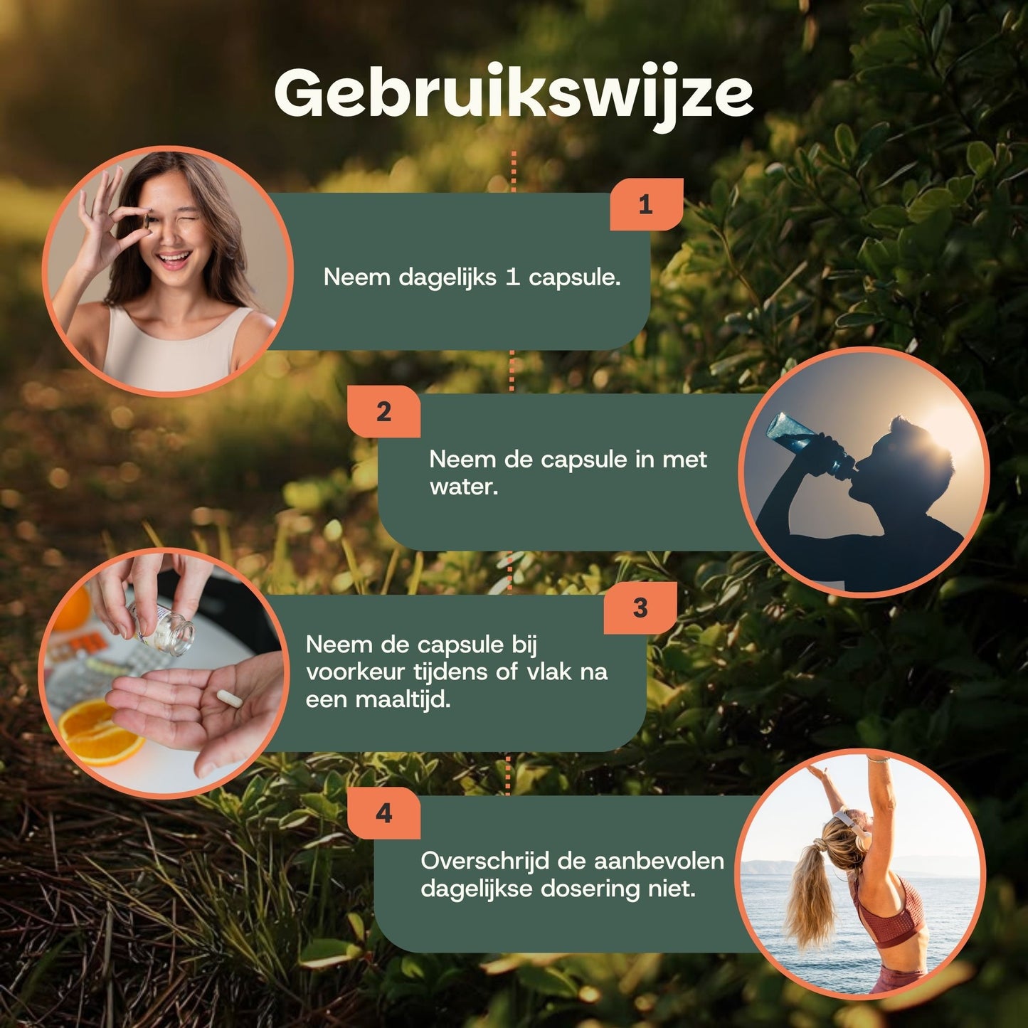 Apigenine extract capsules goyu superfood supplement