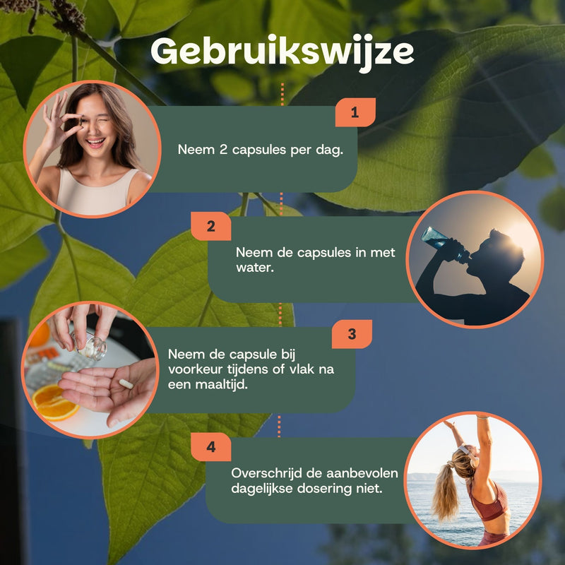 Bijenpollen extract capsules goyu supplement superfood