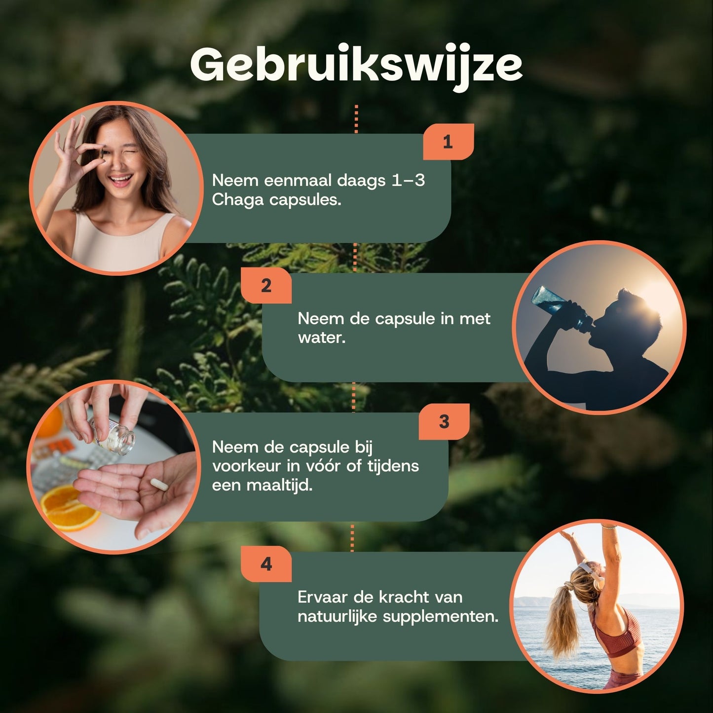 Biologische Chaga capsules goyu supplement superfood