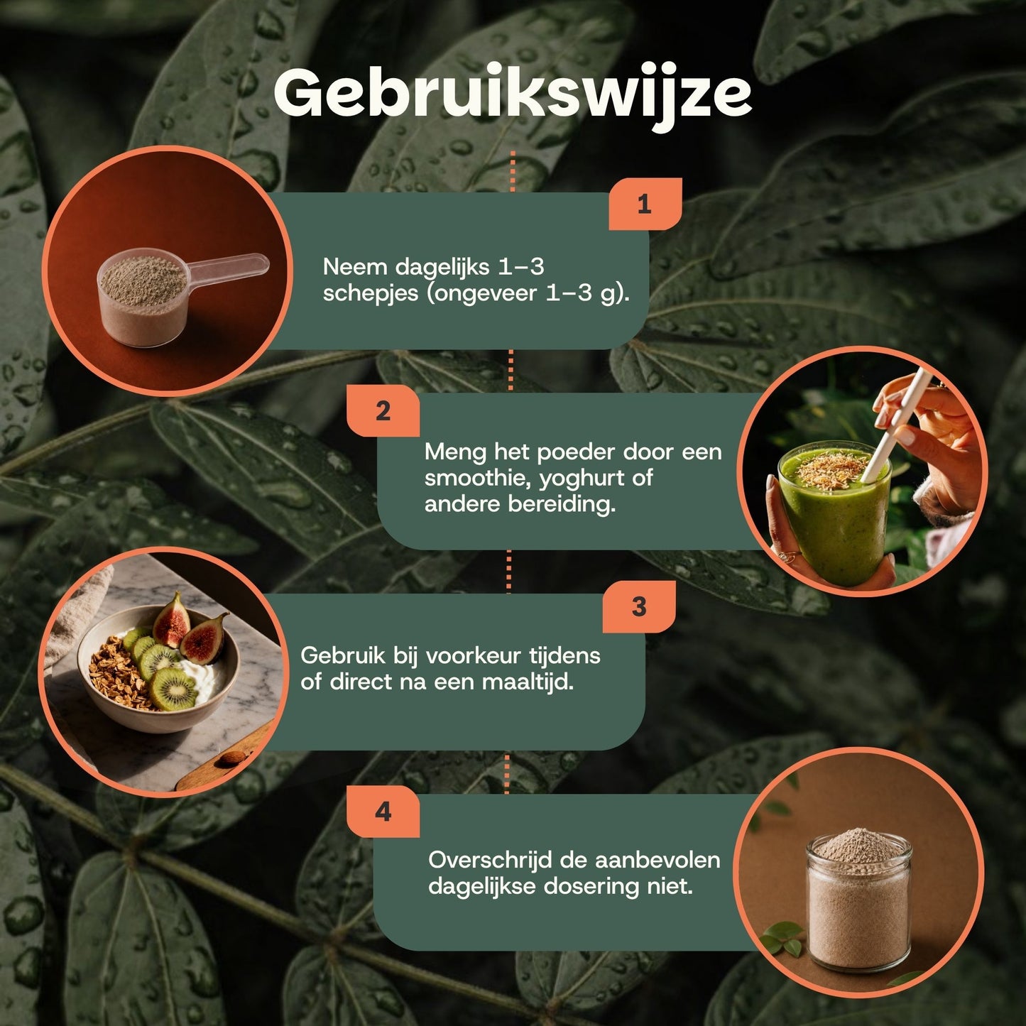 Biologische Chaga poeder goyu supplement superfood
