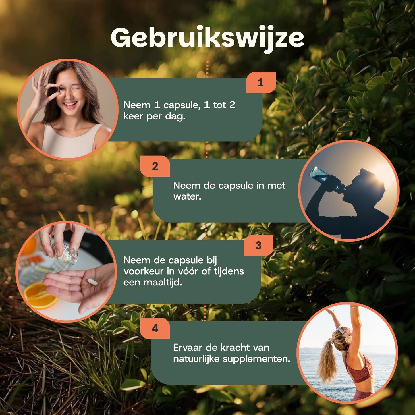 Chaga extract capsules goyu supplement superfood