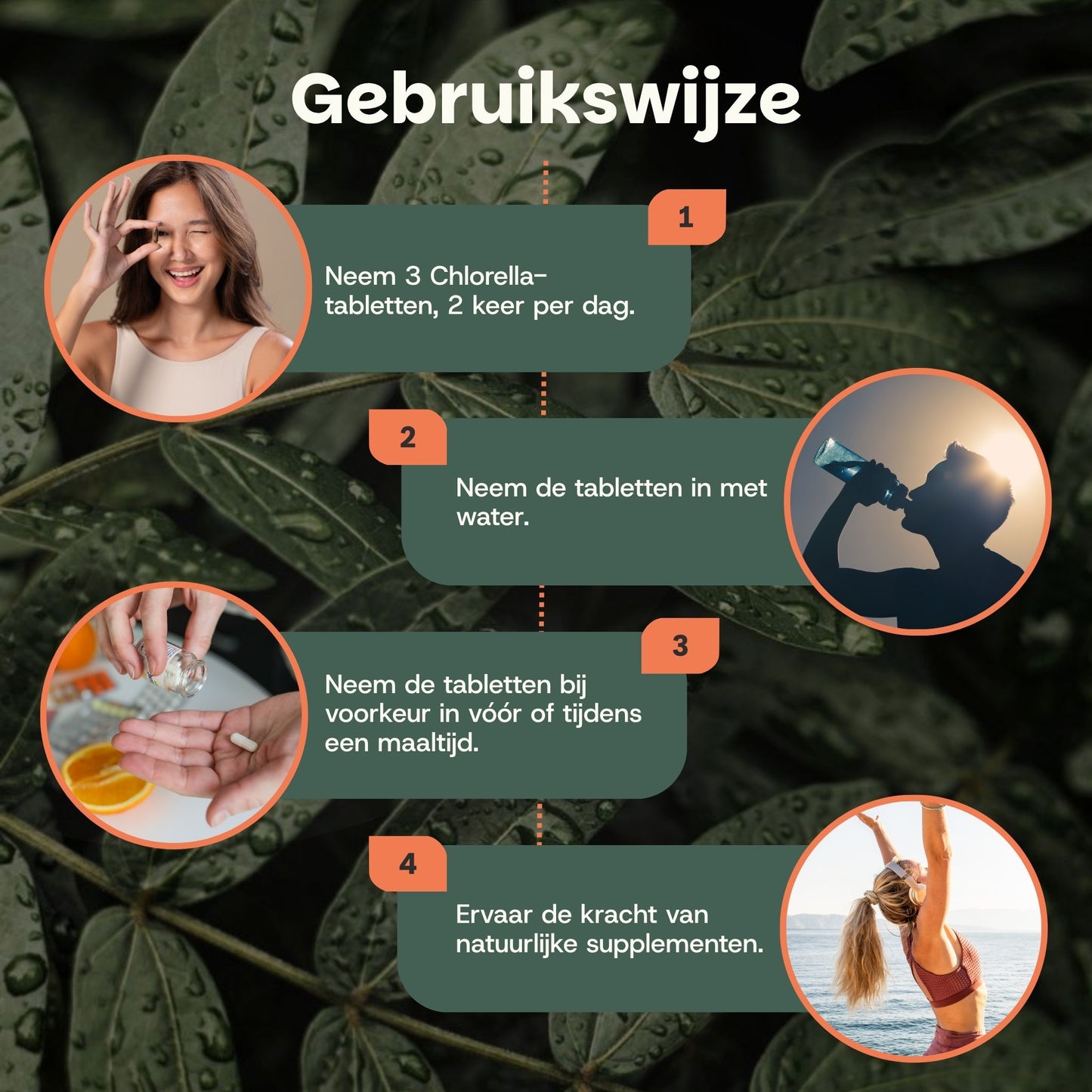 Biologische Chlorella tabletten goyu superfood supplement