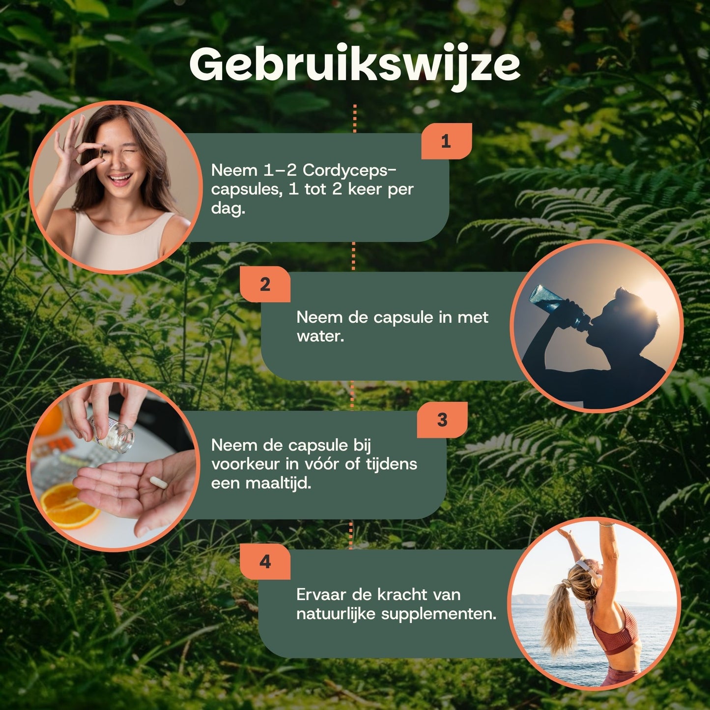 Biologische Cordyceps capsules goyu supplement superfood