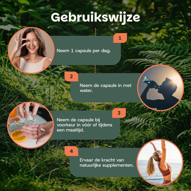 Kurkuma capsules goyu supplement superfood