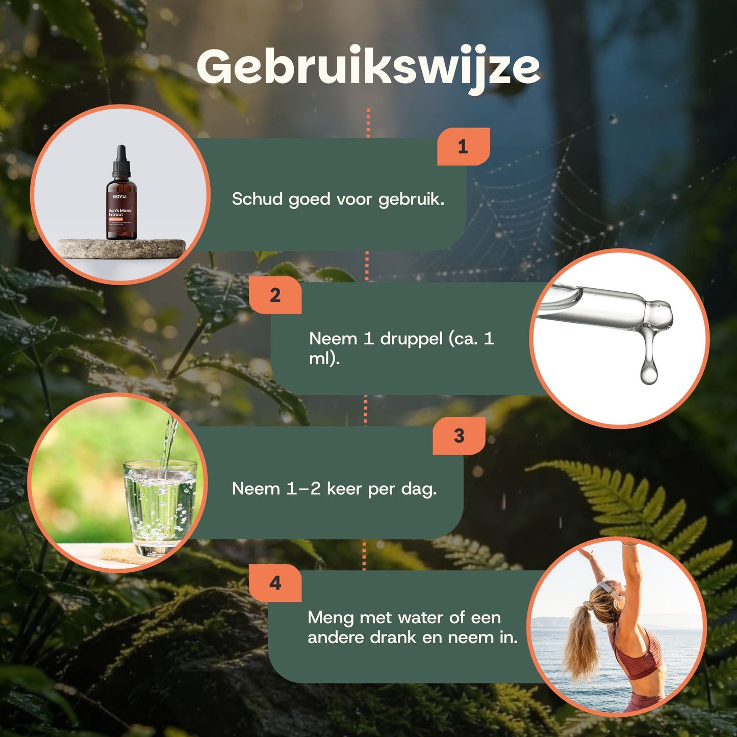 Hoe gebruik je Lion's Mane tinctuur 10:1 alcoholvrij van GOYU