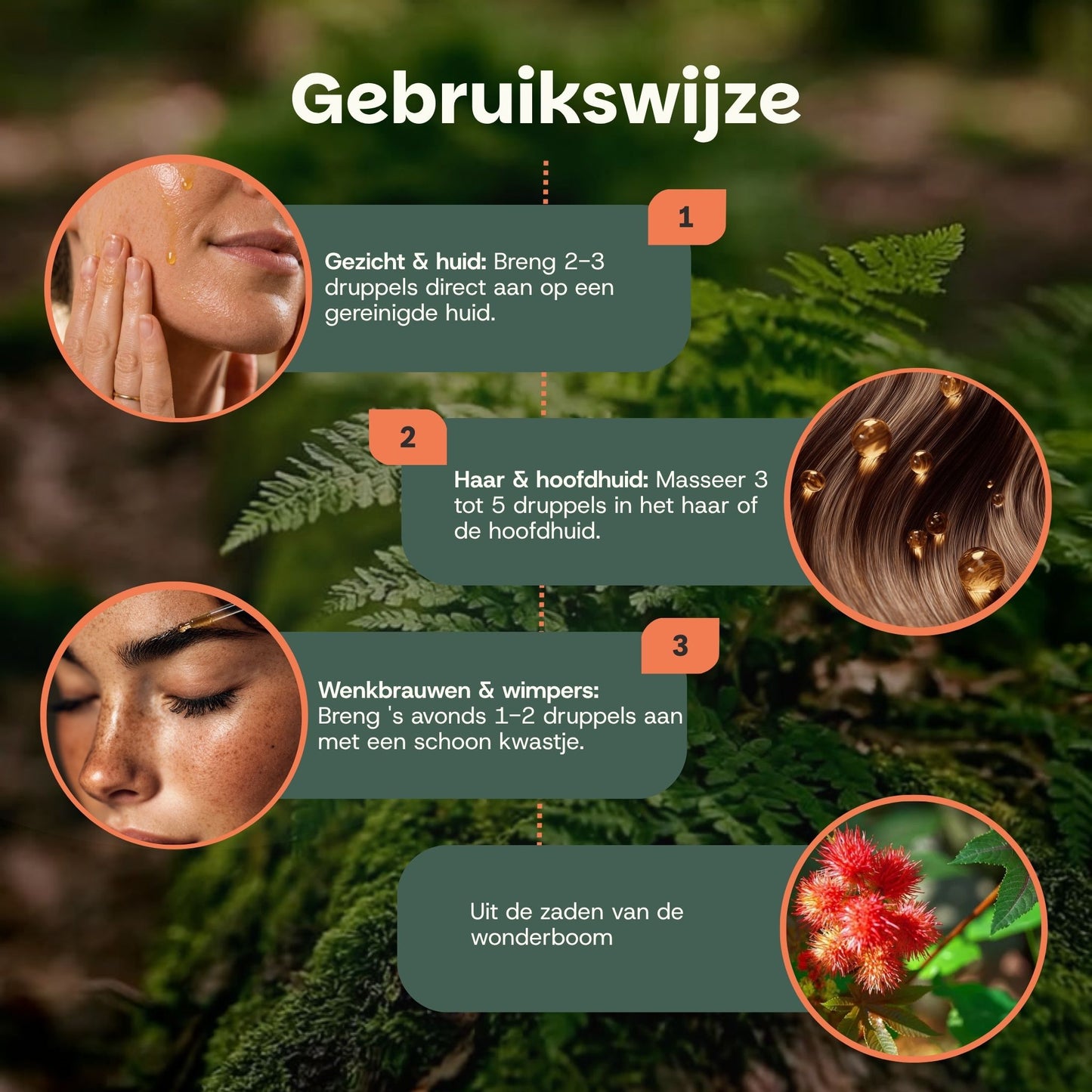 GOYU castor olie gebruiksinstructie infographic