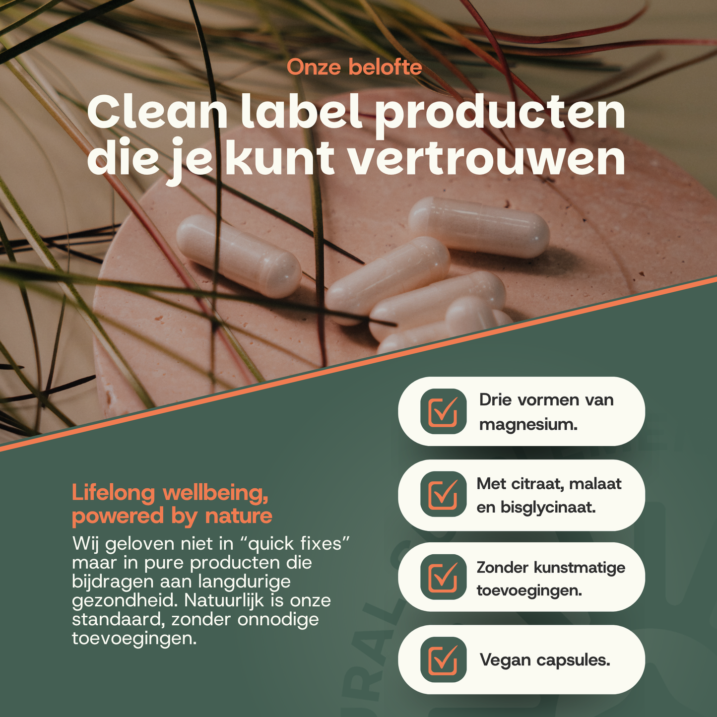 waarom magnesiumcomplex