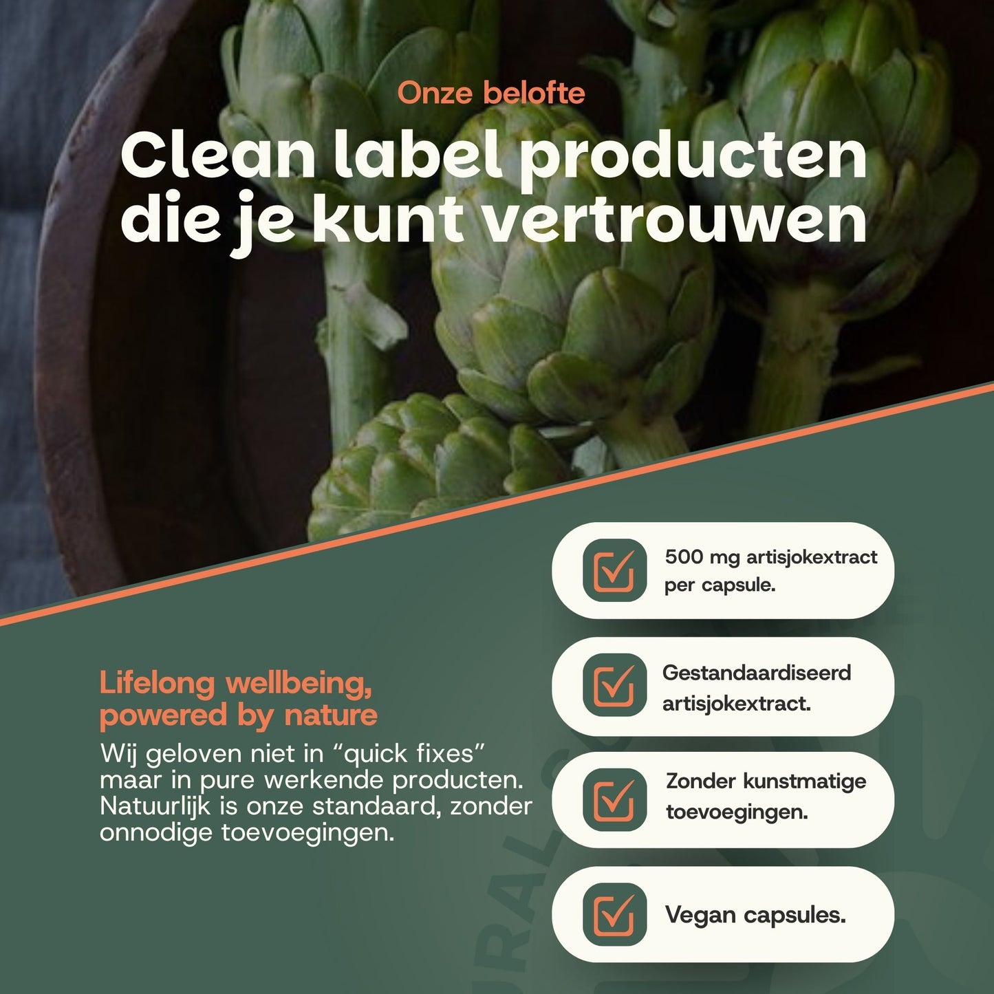 Artisjok extract capsules goyu supplement superfood