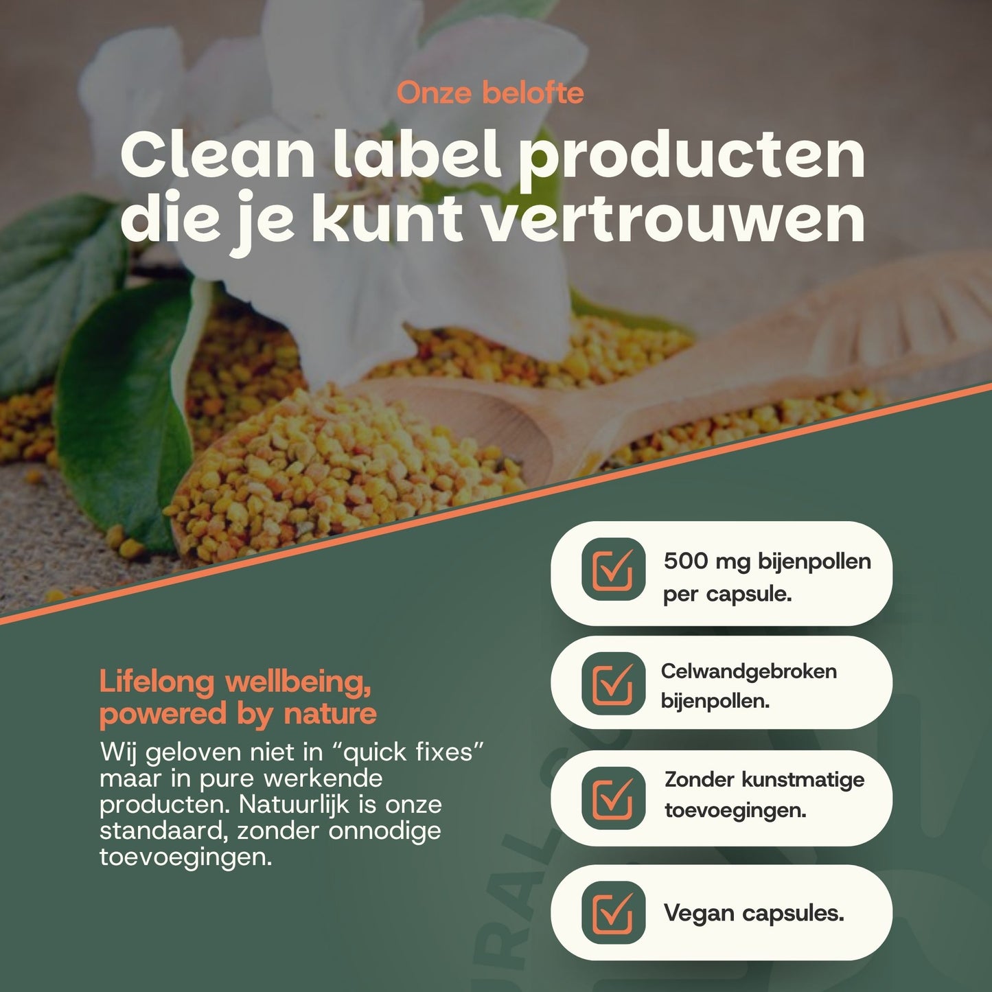 Bijenpollen extract capsules goyu supplement superfood