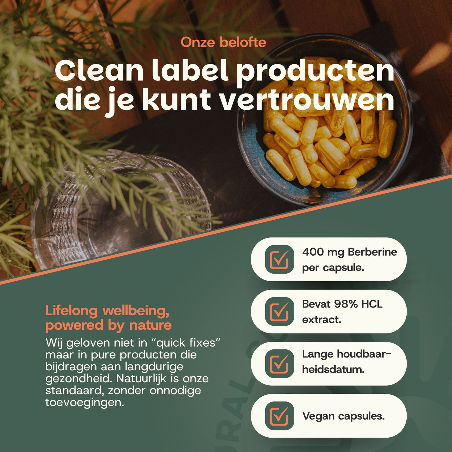 waarom berberine