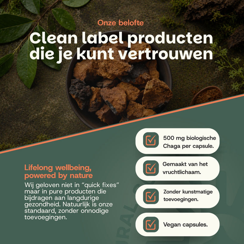 Biologische Chaga capsules goyu supplement superfood
