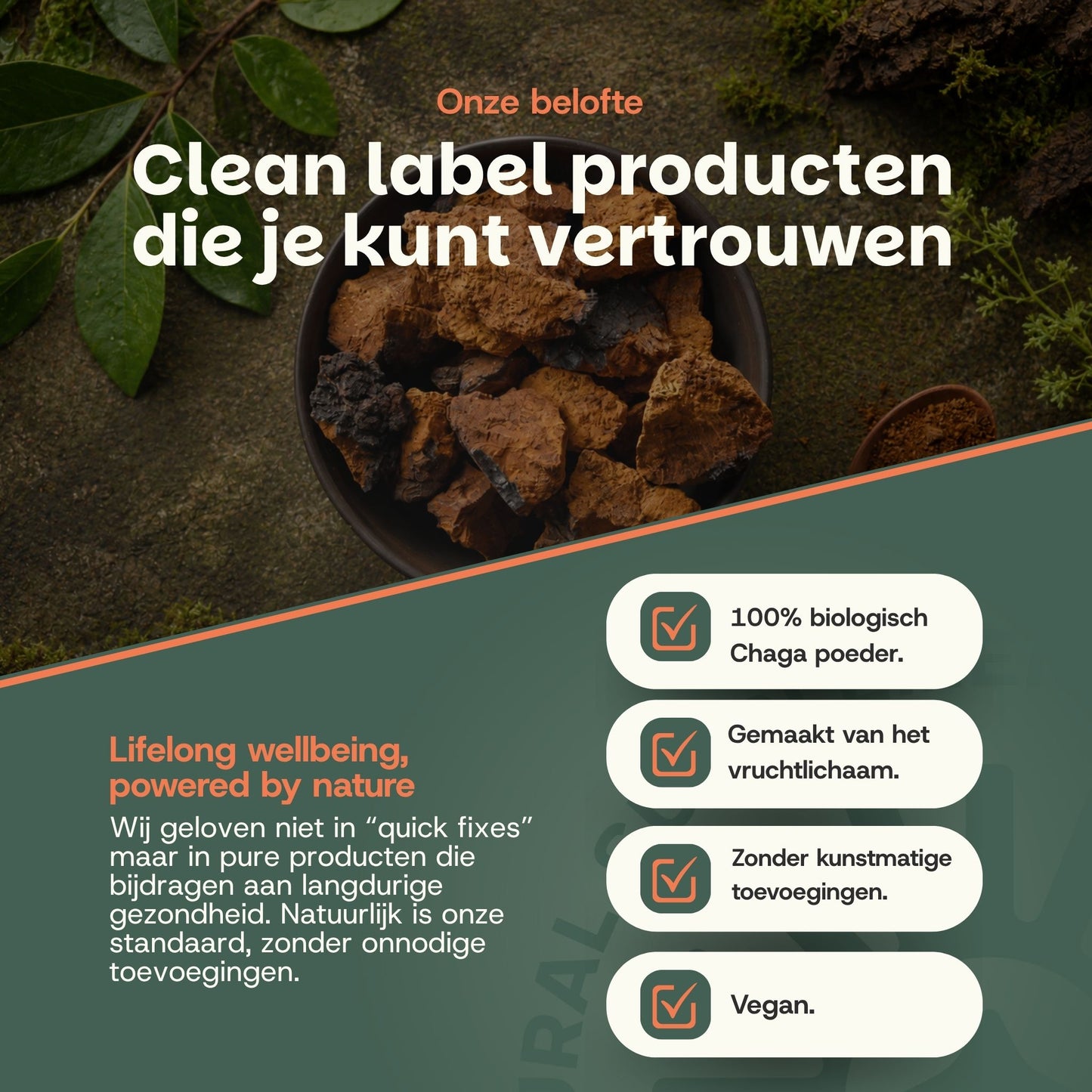 Biologische Chaga poeder goyu supplement superfood