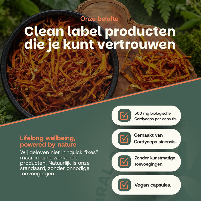 Biologische Cordyceps capsules goyu supplement superfood