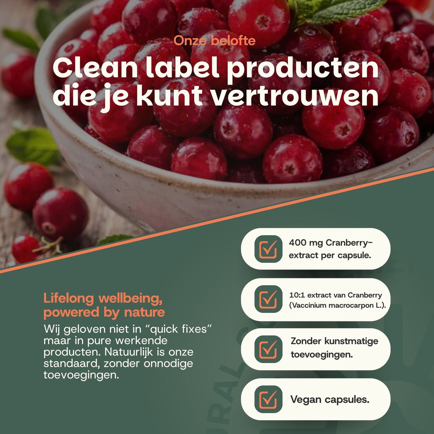 Cranberry extract capsules goyu supplement superfood