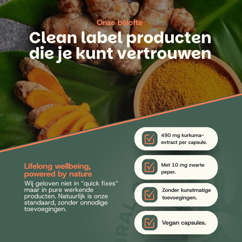 Kurkuma Curcumin extract goyu supplement superfood