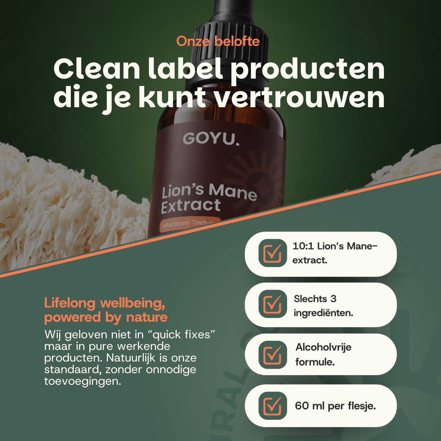 Waarom Lion's Mane tinctuur 10:1 alcoholvrij van GOYU