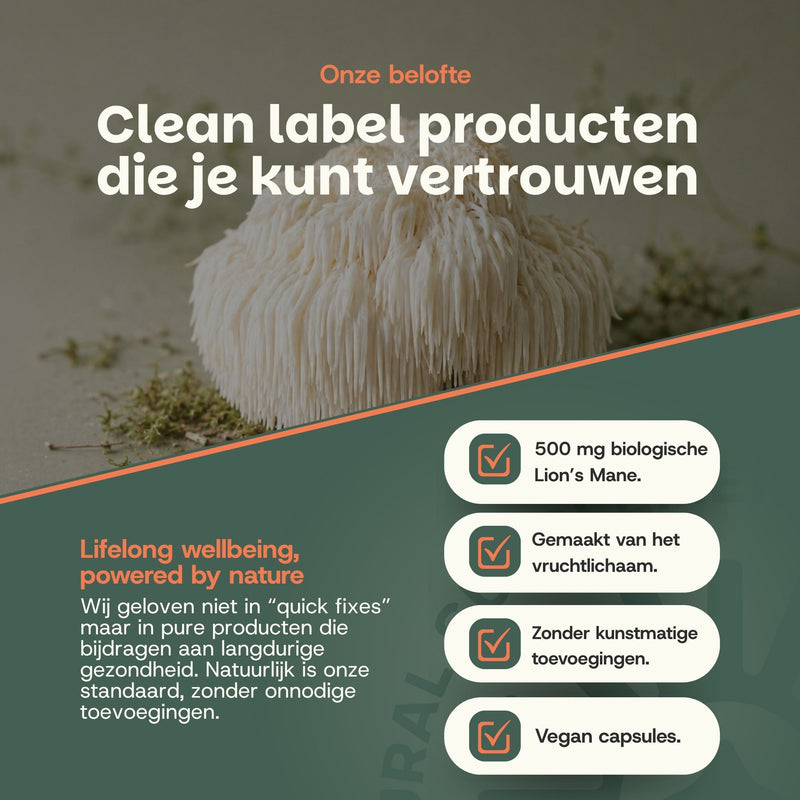 Lions mane capsules goyu supplement superfood