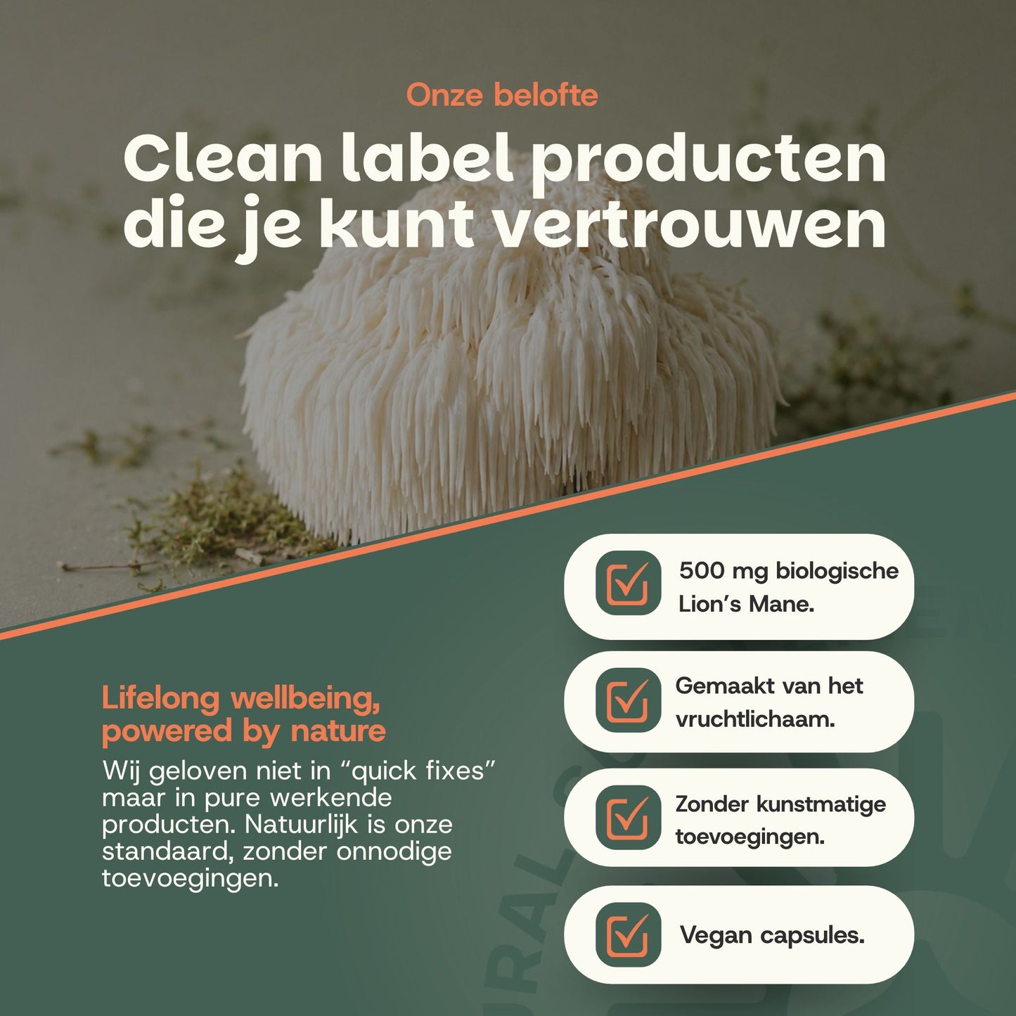Lions mane capsules goyu supplement superfood