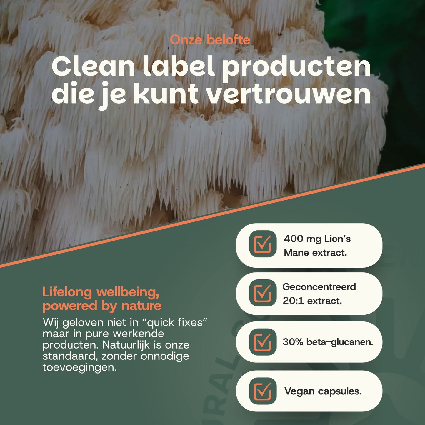 Lions Mane extract capsules goyu superfood supplement