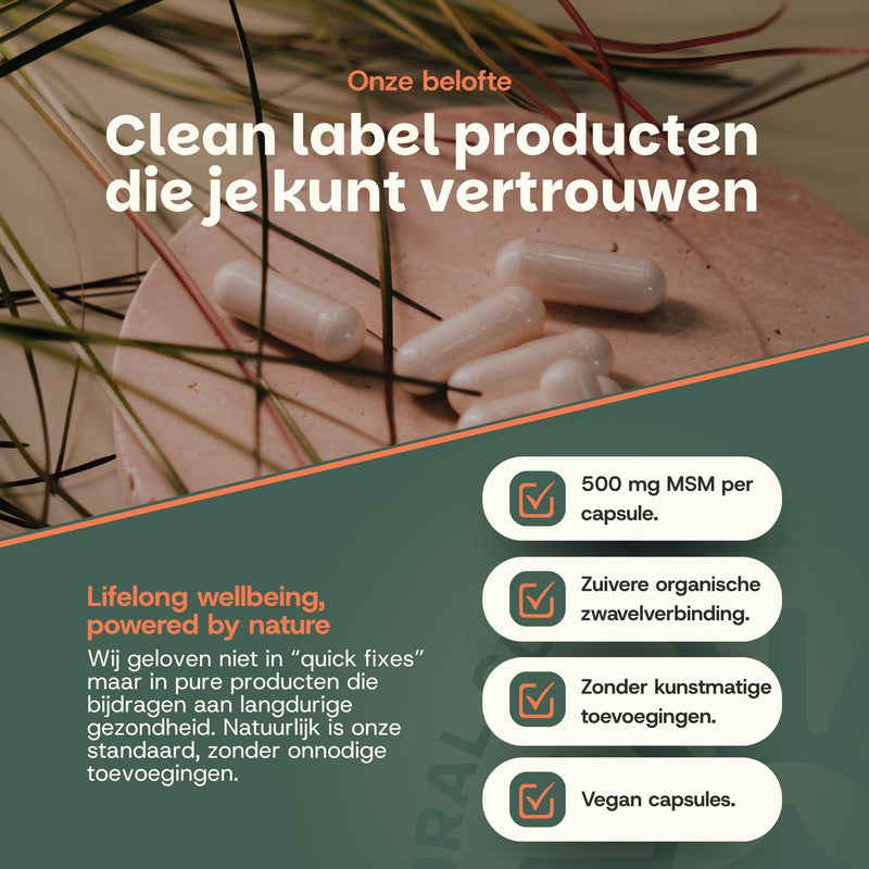 MSM capsules goyu superfood supplement