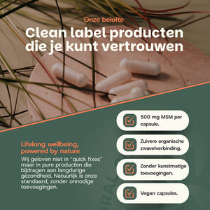 MSM capsules goyu superfood supplement