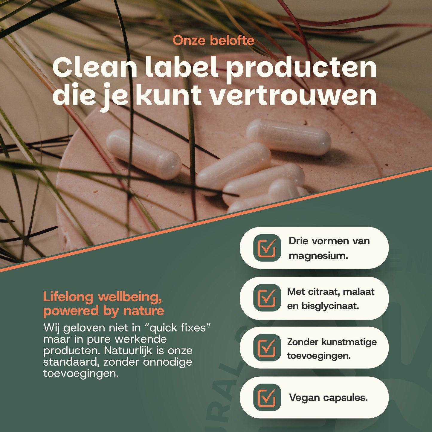 waarom magnesiumcomplex