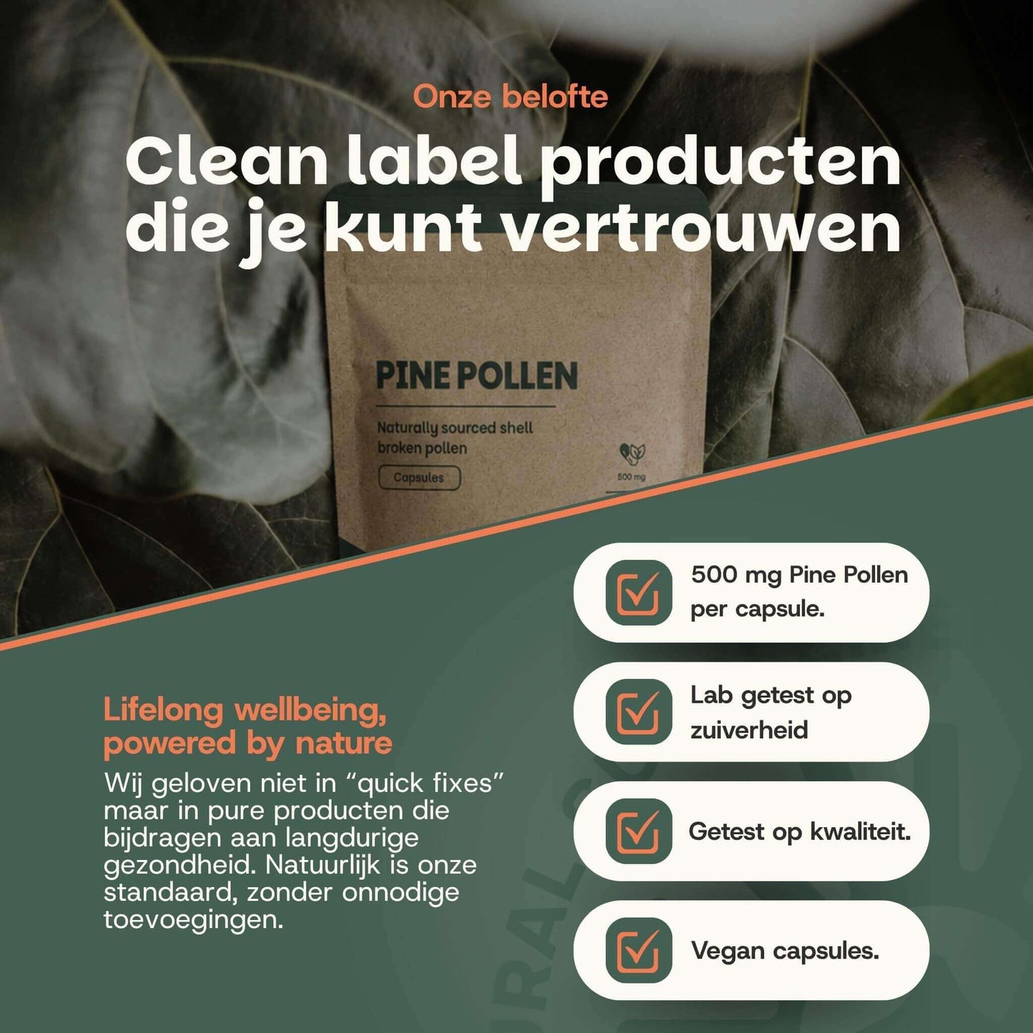 Capsules de pollen de pin 500 mg
