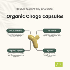 Organic Chaga capsules goyu supplement superfood