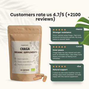 Organic Chaga capsules goyu supplement superfood