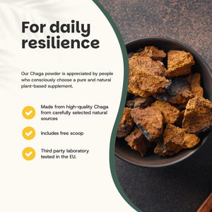 Organic Chaga powder goyu supplement superfood