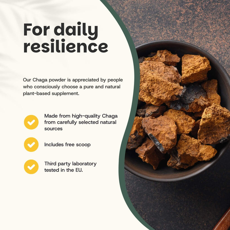 Organic Chaga powder goyu supplement superfood