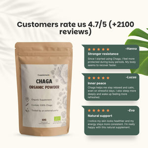 Organic Chaga powder goyu supplement superfood