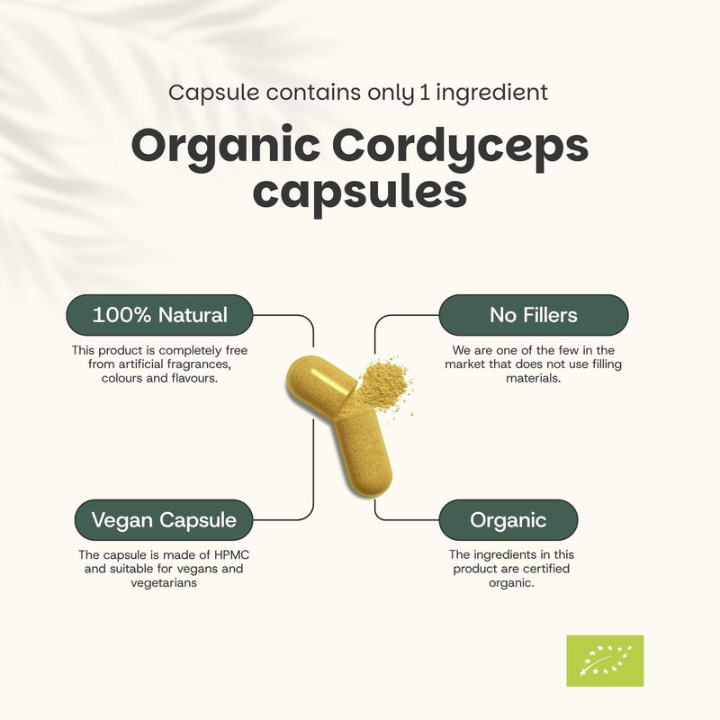 Organic Cordyceps capsules goyu supplement superfood