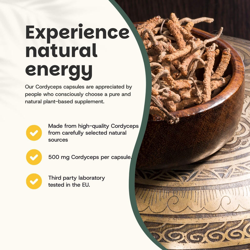 Organic Cordyceps capsules goyu supplement superfood