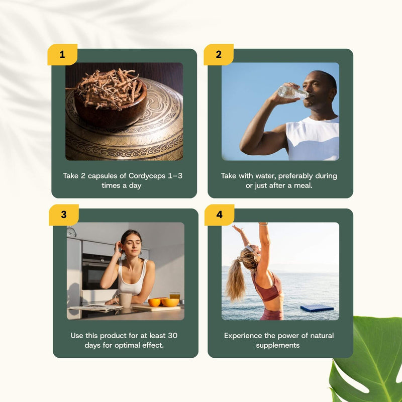 Organic Cordyceps capsules goyu supplement superfood