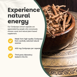 Organic Cordyceps extract capsules goyu supplement superfood