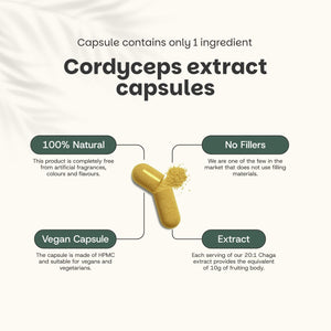 Organic Cordyceps extract capsules goyu supplement superfood