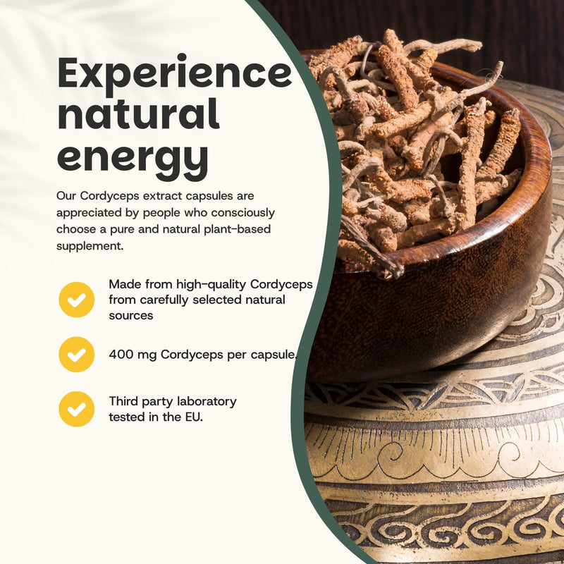 Organic Cordyceps extract capsules goyu supplement superfood