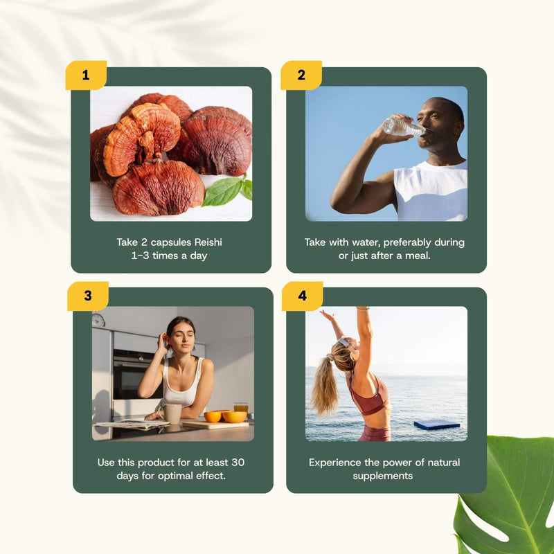 Organic Reishi capsules goyu supplement superfood