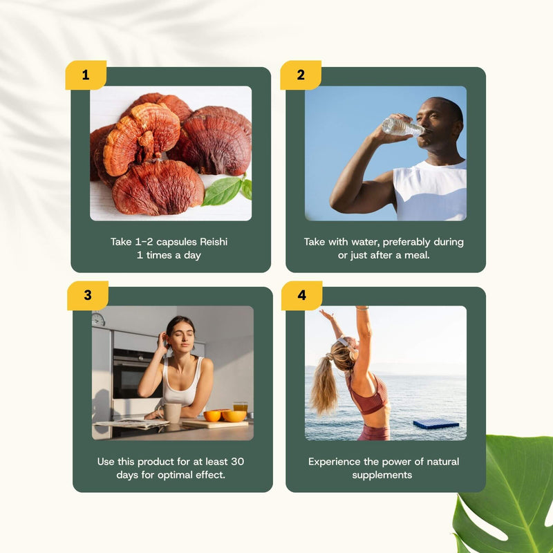 Organic Reishi extract capsules goyu supplement superfood