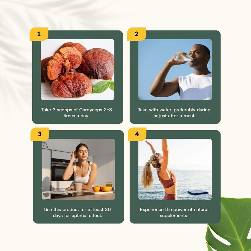 Organic Reishi powder goyu supplement superfood